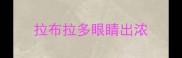 拉布拉多眼睛出浓