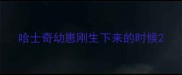 哈士奇幼崽刚生下来的时候