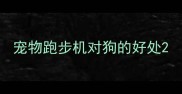 宠物跑步机对狗的好处