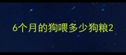6个月的狗喂多少狗粮