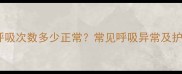 边牧睡觉呼吸次数多少正常常见呼吸异常及护理建议全