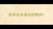 拉布拉多适合吃鸭肉