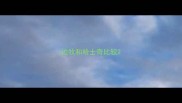 边牧和哈士奇比较