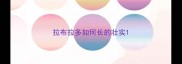 拉布拉多如何长的壮实