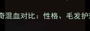 萨摩耶和哈士奇混血对比性格毛发护理与饲养指南