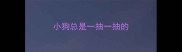 小狗总是一抽一抽的