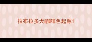 拉布拉多犬咖啡色起源
