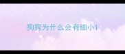 狗狗为什么会有细小