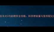 边境牧羊犬2月龄喂养全攻略科学喂食量与营养配比指南