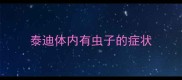 泰迪体内有虫子的症状