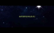 如何领养拉布拉多犬