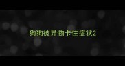 狗狗被异物卡住症状