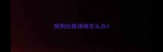 狗狗拉屎很硬怎么办
