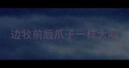 边牧前后爪子一样大吗