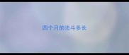 四个月的法斗多长
