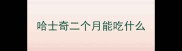 哈士奇二个月能吃什么