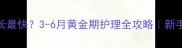 比熊几个月长最快3-6月黄金期护理全攻略新手必看养宠指南