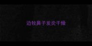 边牧鼻子发炎干燥