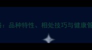 哈士奇和土狗混养全攻略品种特性相处技巧与健康管理指南附真实案例