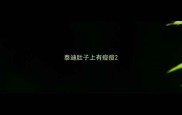 泰迪肚子上有痘痘