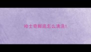 哈士奇脚底怎么清洗