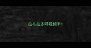 拉布拉多呼吸频率