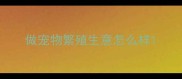 做宠物繁殖生意怎么样