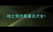 哈士奇犬最著名犬舍