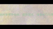3个月小泰迪科学喂养指南营养需求喂食技巧与常见误区全
