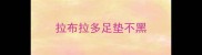 拉布拉多足垫不黑