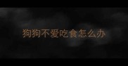 狗狗不爱吃食怎么办