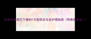 拉布拉多尾巴下垂的7大原因及专业护理指南附兽医建议