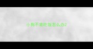 小狗不肯吃饭怎么办
