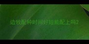 边牧配种时间好短能配上吗