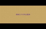 狗狗几个月可以配种