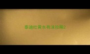 泰迪吐黄水有沫拉稀