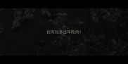 拉布拉多过年吃肉