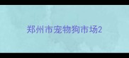 郑州市宠物狗市场
