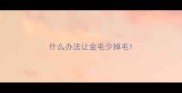 什么办法让金毛少掉毛