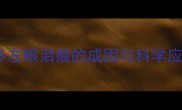 拉布拉多左眼泪痕的成因与科学应对指南