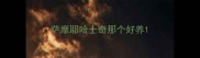 萨摩耶哈士奇那个好养