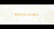 狗狗疫苗卫佳5睡觉