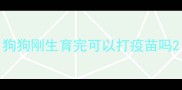狗狗刚生育完可以打疫苗吗