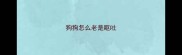 狗狗怎么老是呕吐