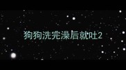 狗狗洗完澡后就吐