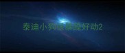 泰迪小狗很暴躁好动