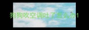 狗狗吹空调吐了怎么办