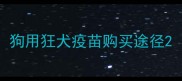 狗用狂犬疫苗购买途径