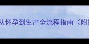 母犬孕期全从怀孕到生产全流程指南附接生急救包