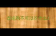 泰迪狗不可以吃什么